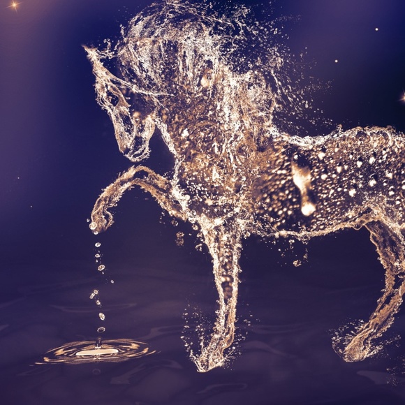 Meet your Posher, Izzy! - Picture 1 of 1